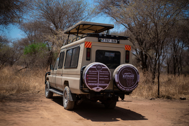 5 giorni di Safari della migrazione nel Grande Serengeti5 giorni di grande safari della migrazione del Serengeti