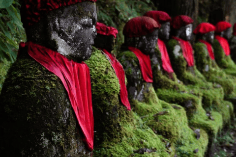 From Tokyo: Nikko Private Tour with Toshogu Shrine & Falls