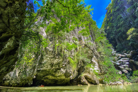 Krabi: Półdniowa wycieczka kajakiem po namorzynach Bor Thor