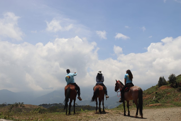 Paseos a Caballo por las Hermosas Montañas de Medellín