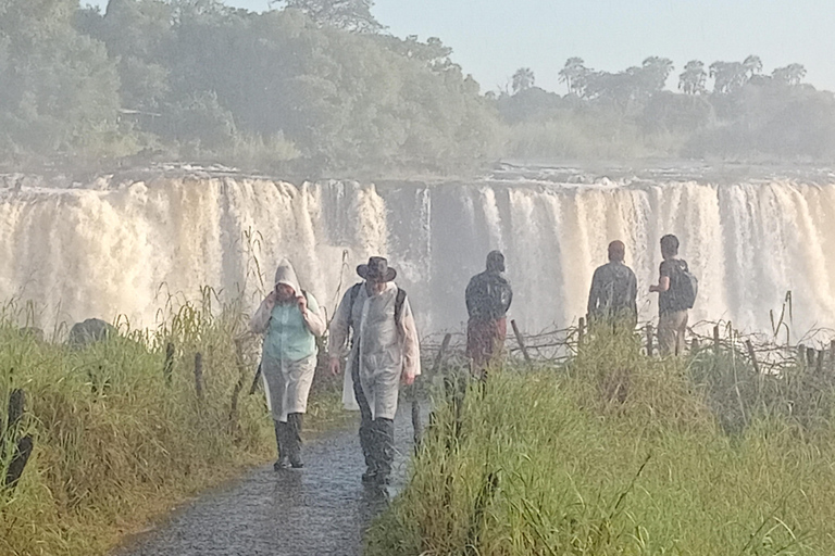 Zimbabwe & Zambia Falls Tour + Boiling Pot Hike