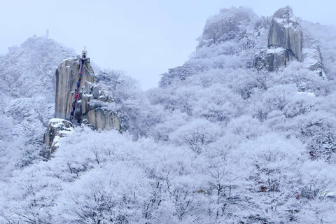 Jeonju Hanok Village and Daedunsan Serenity Nature Tour Departing from Dongdaemun H&C Park Station Exit 10