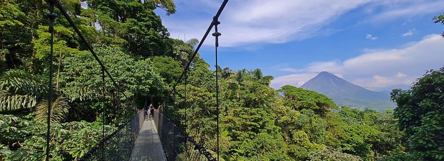 Ponts suspendus de Mistico + transport + guide naturaliste