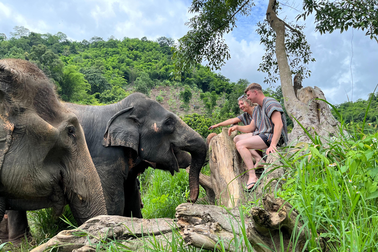 Chiang Mai: One Day Eco-Trek, Elephant care & Bamboo Rafting