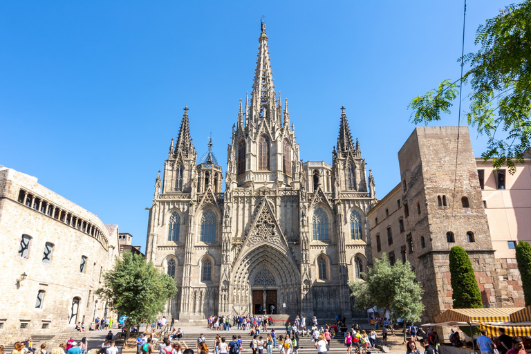 Catedral de Barcelona sin colas con guía privado4 horas: Catedral de Barcelona y Basílica de Santa María del Mar