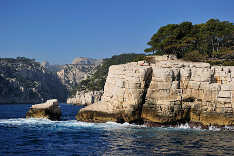 Sanary-sur-Mer: Tour of the Calanques of Cassis and Marseille 7 coves outing