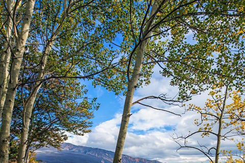 Mt. Etna: Volcano Tour from Catania with Certified Guide and Tasting Etna: Tour from Catania to discover the volcano with a certified guide