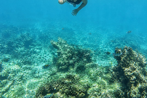 Cartagena: Rosario Islands Boat Tour & Plankton Night Swim Day tour: back at the marina around 5 p.m.