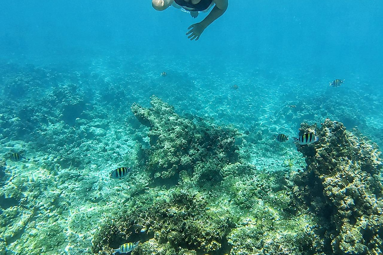 Cartagena: Rosario Islands Boat Tour & Plankton Night Swim Day tour: back at the marina around 5 p.m.
