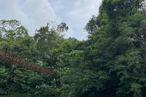 From Cali: Private VIP Motorcycle Adventure to San Cipriano, Pacific Jungle