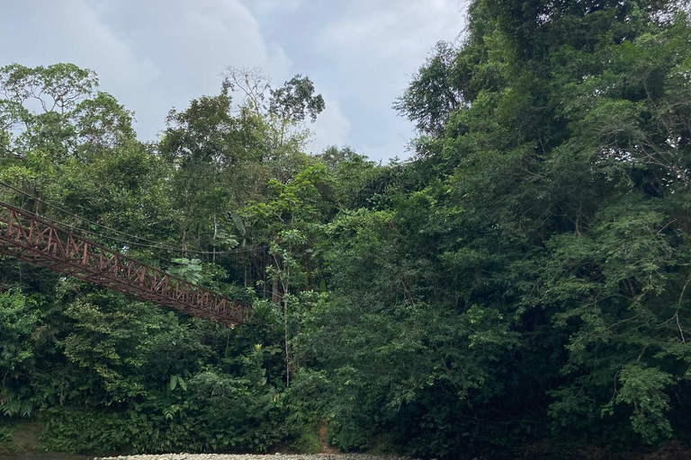 From Cali: Private VIP Motorcycle Adventure to San Cipriano, Pacific Jungle