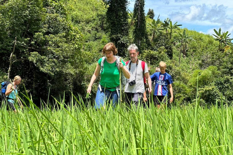 Chiang Mai: 2-Days Jungle Trek, Waterfalls and Karen Village