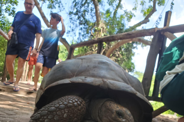 3-dniowa przygoda na Zanzibarze: Wyspa więzienna, wycieczka po przyprawach i Mnemba