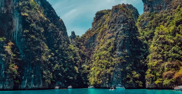 From Phi Phi: Half Day Longtail Boat Tour to Maya Bay