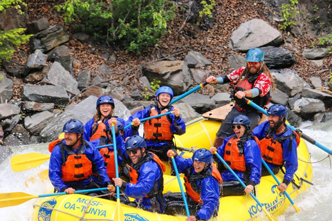 Golden, BC: Kicking Horse River Whitewater Rafting Adventure