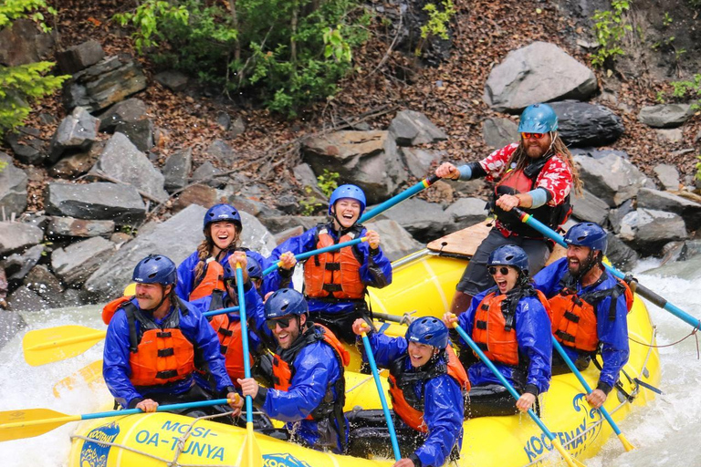 Golden, BC: Kicking Horse River Whitewater Rafting Adventure