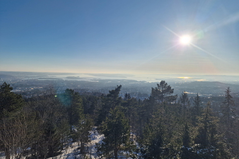 Panoramagipfel – Oslos beste Wanderung mit Blick auf die FjordePanoramische Gipfel – Oslos beste Wanderung mit Fjordblick