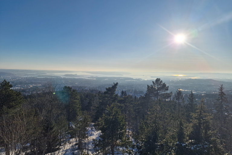 Panoramagipfel – Oslos beste Wanderung mit Blick auf die FjordePanoramische Gipfel – Oslos beste Wanderung mit Fjordblick