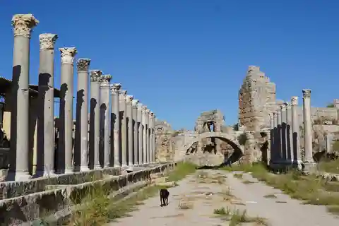 Call Of Ancient History In Perge