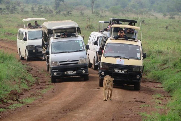 Safari matinal por el Parque Nacional de Nairobi