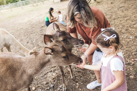 Morning with Horses, Alpacas, Turtles & Breakfast