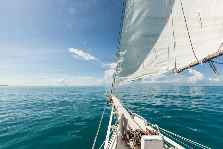 Excursão de vela, mergulho com snorkel, caiaque e pôr do sol em Key West à tarde