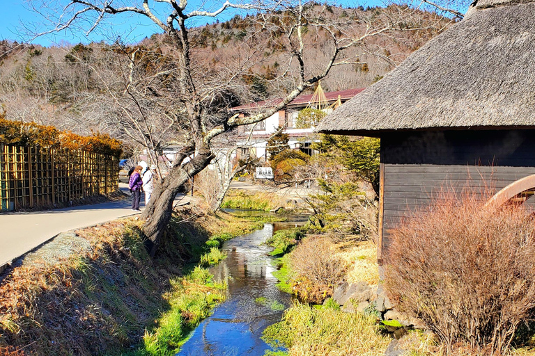 Viaje de 3 días a Tokio, el Monte Fuji y Hakone