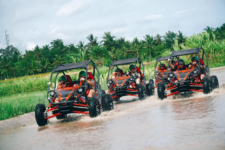 Ubud Adventure: Buggy Ride, Water Rafting, Coffee Plantation ubud; UTV buggy only without transportasi