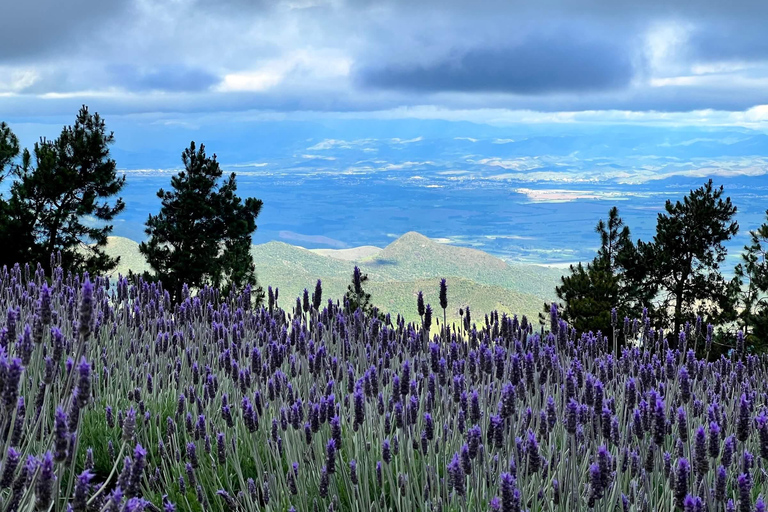 Campos do Jordão: Discover the Brazilian Switzerland from São Paulo