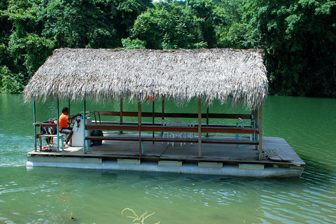 Buggy Safari: Chavón River & Dominican Countryside Tour with Pickup from Bávaro