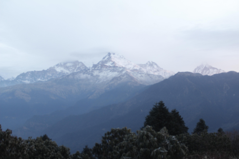 From Pokhara: 2-Day Short Poon Hill Trek