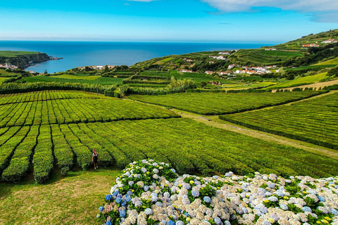 Furnas-dagtour, warmwaterbronnen en theeplantage