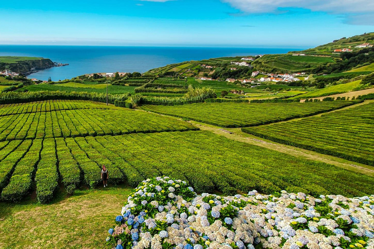 Furnas-dagtour, warmwaterbronnen en theeplantage