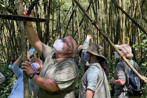 4-Day Rwanda golden monkey and Culture Safari 4-Day Rwanda golden monkey and Culture Safaris