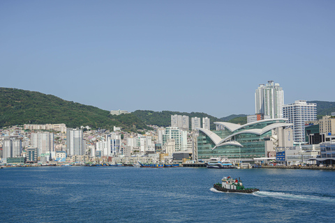 Busan: Power Walk Tour with a Local Mate
