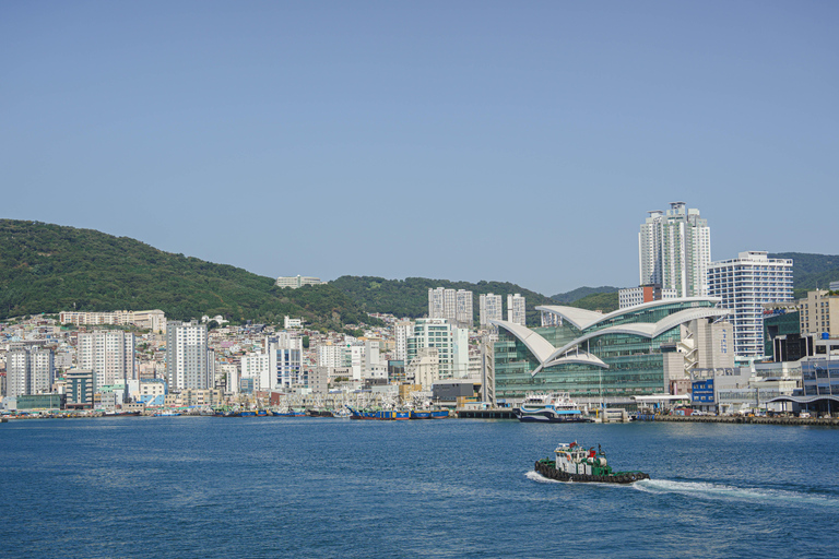 Busan: Power Walk Tour with a Local Mate