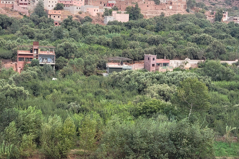 Marrakech: Ourika Valley, Waterfalls Private Trip with Lunch