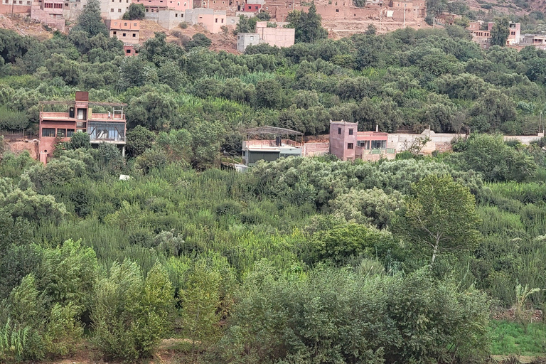 Marrakech: Ourika Valley, Waterfalls Private Trip with Lunch