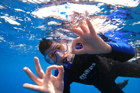 SSI Scuba Diver Course | Start Your Diving Journey