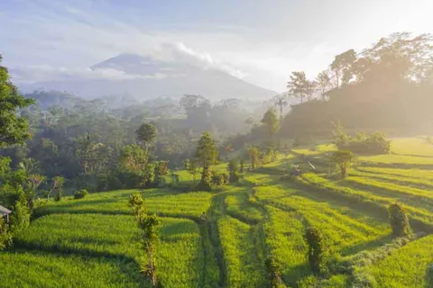 Visita a BALI Oriental