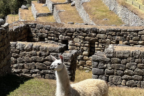 Von Cusco aus: Machupicchu Ganztagesausflug mit dem Zug