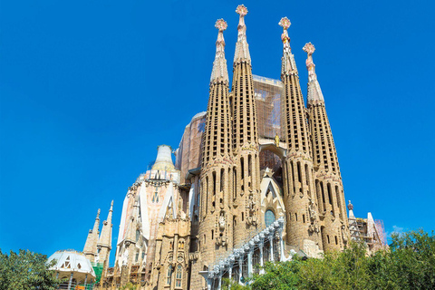 From Paris: 7-Day Avignon, Barcelona, and Bordeaux Tour