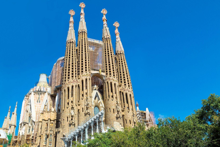 From Paris: 7-Day Avignon, Barcelona, and Bordeaux Tour