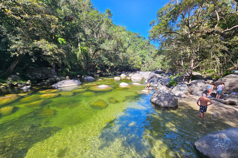 Mossman: Viaggio nella foresta pluviale di Daintree con crociera con i coccodrilli