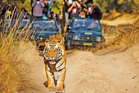 Explore Khajuraho & Panna: 3-Day Delhi Train Safari Trip