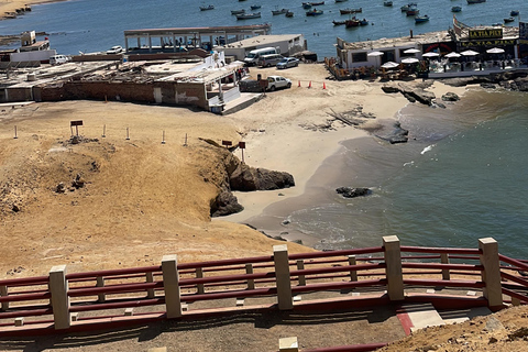 RESERVA NACIONAL DE PARACAS Excursión en quad ATV en PerúRESERVA NACIONAL DE PARACAS EN ATV