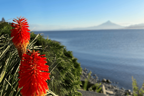 Puerto Varas: Half-Day City Tour, Puerto Montt Included