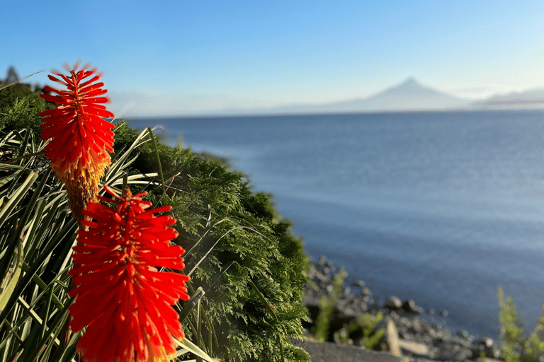 Puerto Varas: Half-Day City Tour, Puerto Montt Included