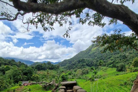 Kandy: Heeloya Village Tour with Lunch and Guide