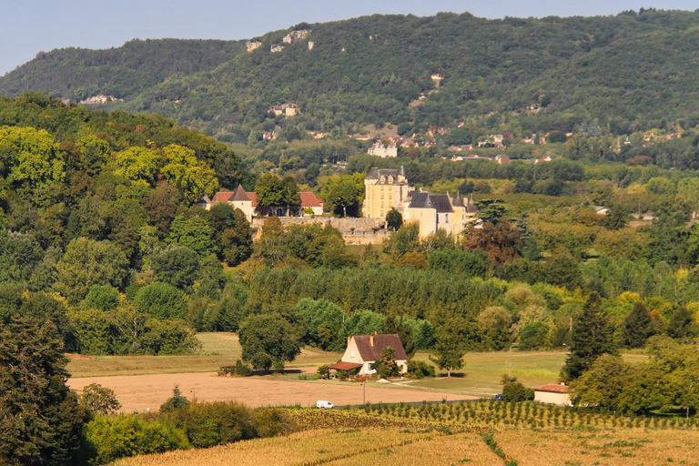 Bordeaux: Dordogne Valley Private Shore Excursion